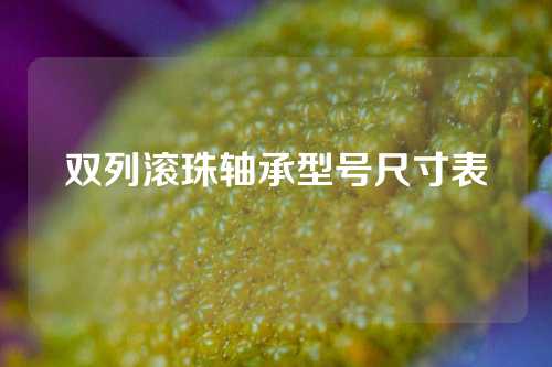 双列滚珠轴承型号尺寸表