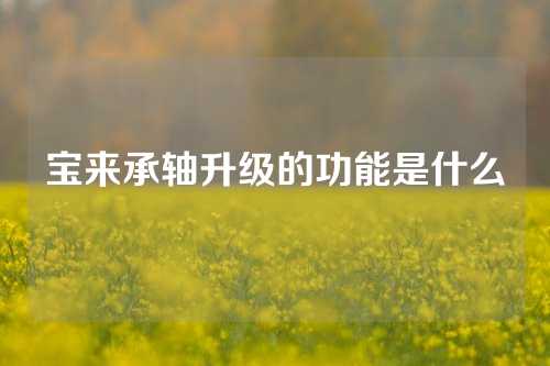 宝来承轴升级的功能是什么