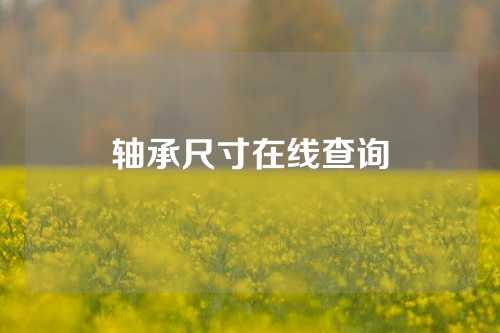 轴承尺寸在线查询