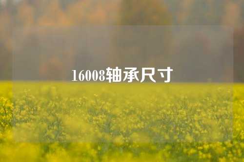 16008轴承尺寸