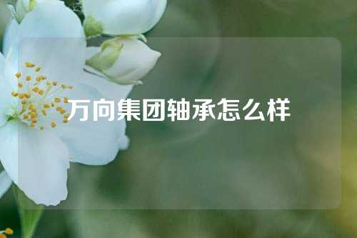 万向集团轴承怎么样