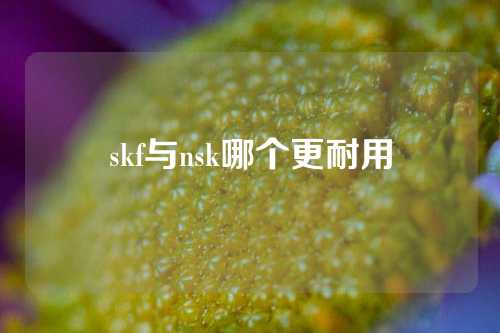 skf与nsk哪个更耐用