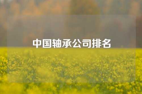 中国轴承公司排名