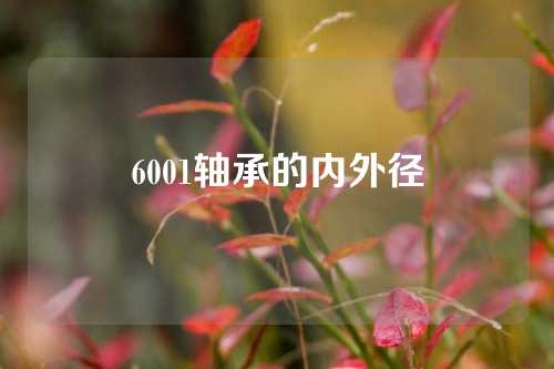 6001轴承的内外径