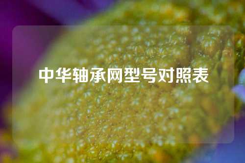 中华轴承网型号对照表