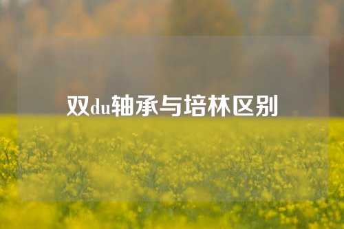 双du轴承与培林区别