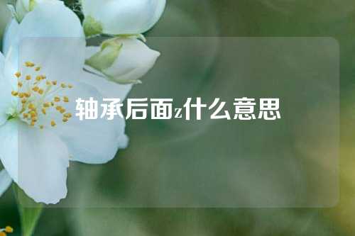 轴承后面z什么意思