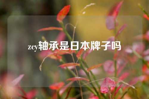 zcy轴承是日本牌子吗