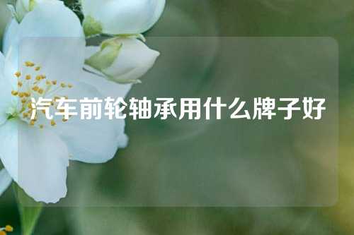 汽车前轮轴承用什么牌子好