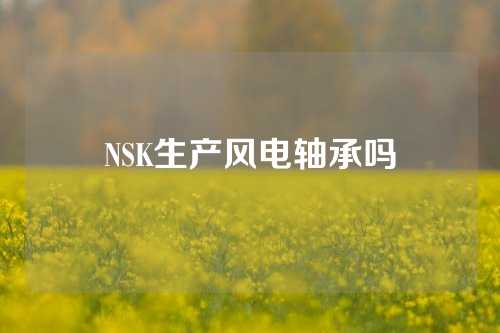 NSK生产风电轴承吗