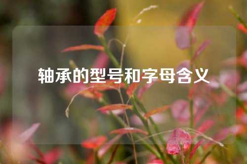 轴承的型号和字母含义