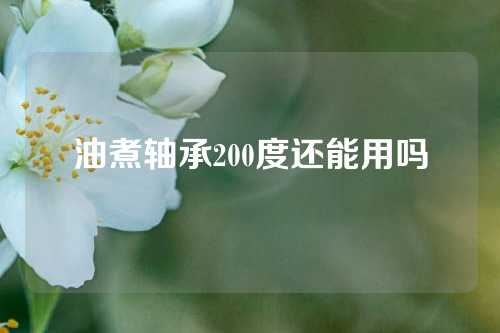 油煮轴承200度还能用吗