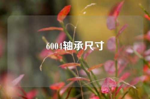 6004轴承尺寸