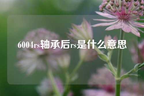 6004rs轴承后rs是什么意思