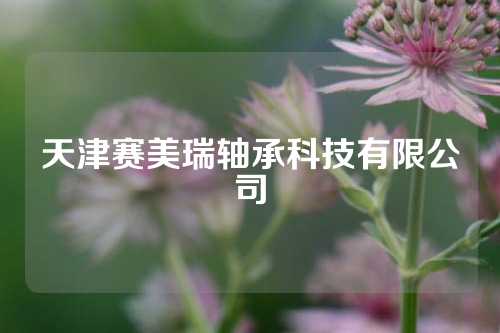 天津赛美瑞轴承科技有限公司