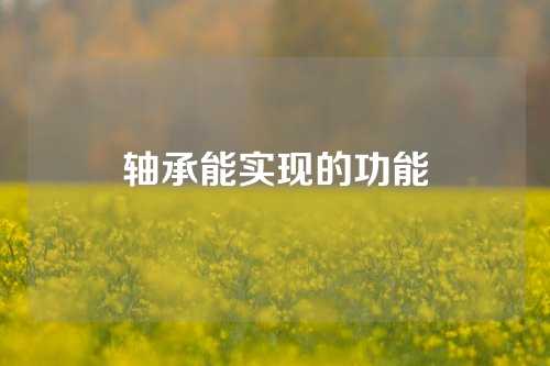 轴承能实现的功能