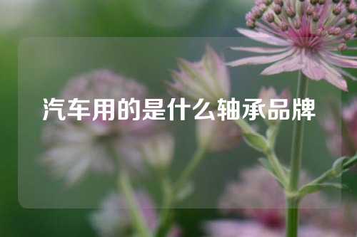 汽车用的是什么轴承品牌