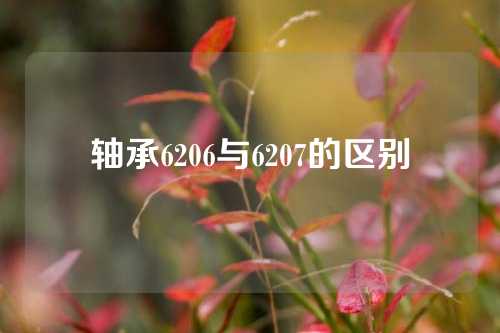 轴承6206与6207的区别