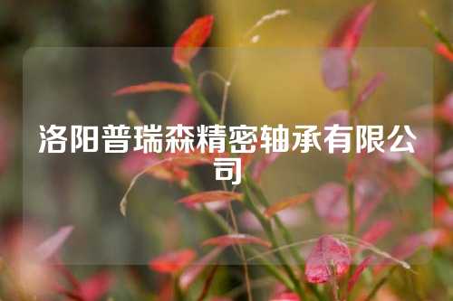 洛阳普瑞森精密轴承有限公司