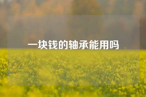 一块钱的轴承能用吗