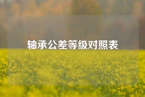 轴承公差等级对照表