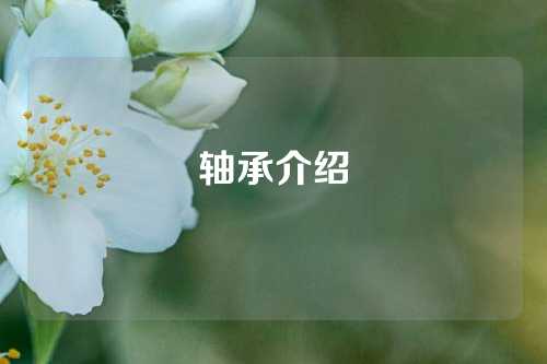 轴承介绍