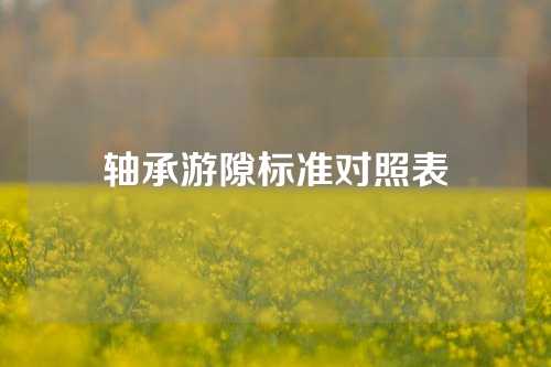 轴承游隙标准对照表