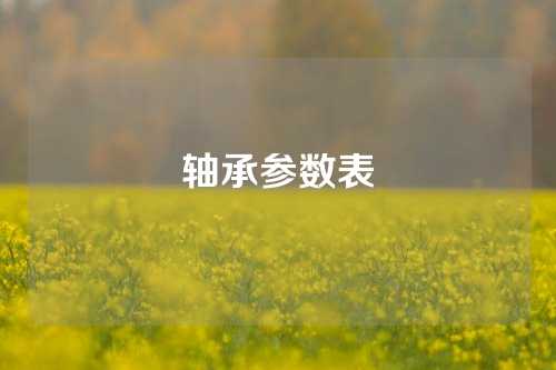 轴承参数表