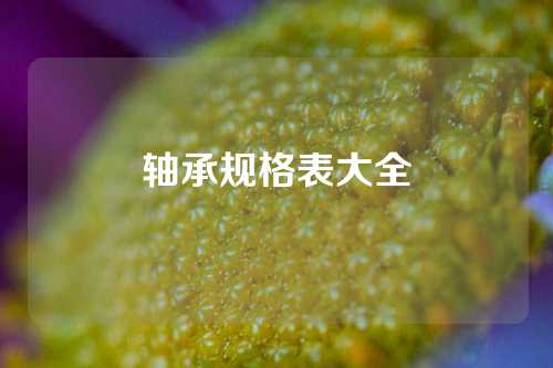 轴承规格表大全