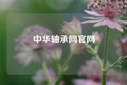 中华轴承网官网