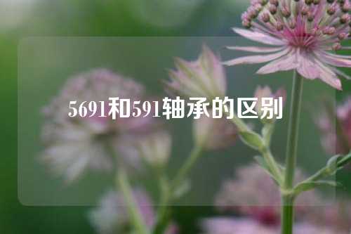 5691和591轴承的区别