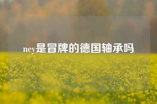 ney是冒牌的德国轴承吗