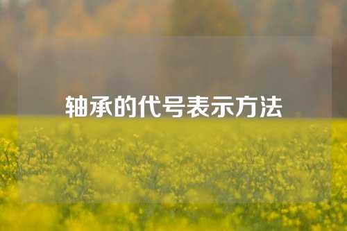 轴承的代号表示方法