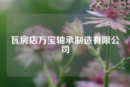 瓦房店万宝轴承制造有限公司