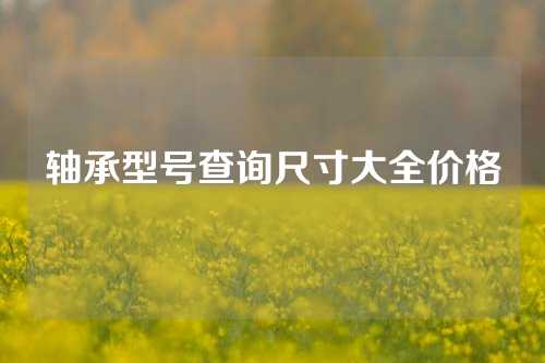 轴承型号查询尺寸大全价格