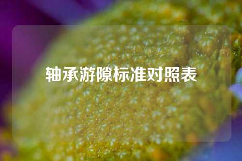 轴承游隙标准对照表