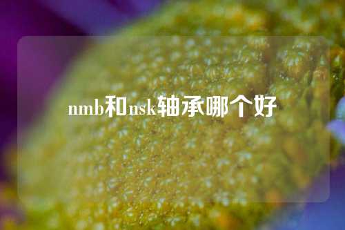 nmb和nsk轴承哪个好