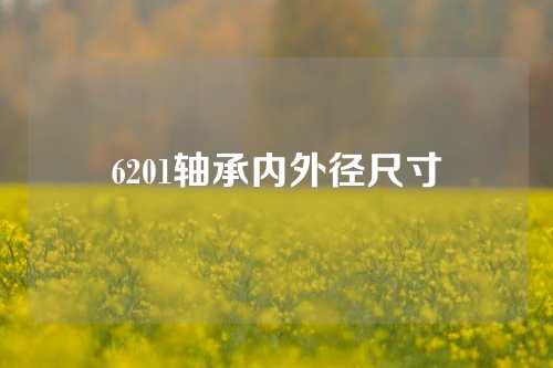 6201轴承内外径尺寸