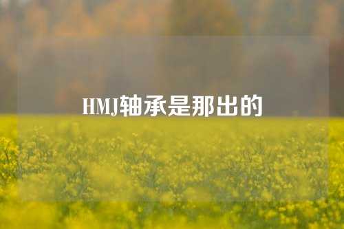 HMJ轴承是那出的