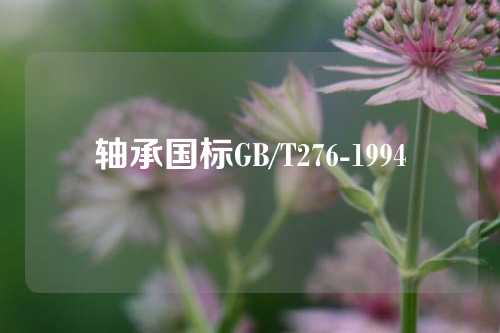 轴承国标GB/T276-1994