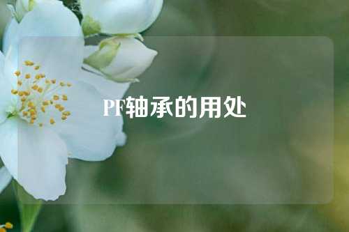 PF轴承的用处