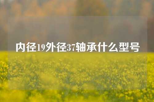 内径19外径37轴承什么型号