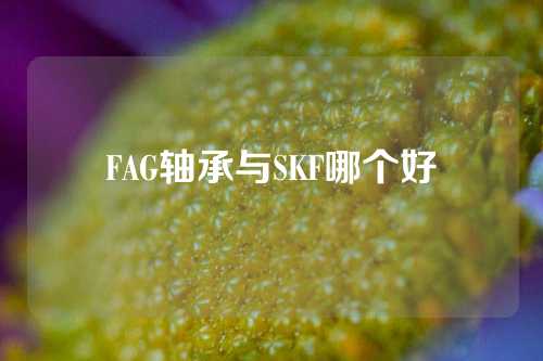 FAG轴承与SKF哪个好