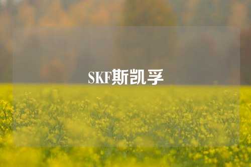 SKF斯凯孚