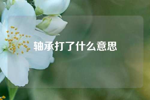 轴承打了什么意思