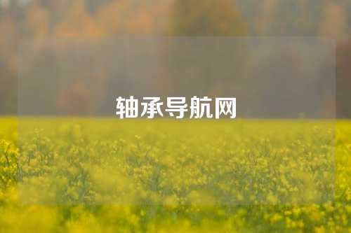 轴承导航网