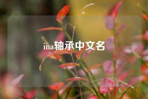 ina轴承中文名