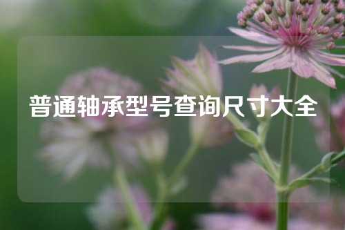 普通轴承型号查询尺寸大全