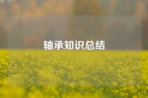 轴承知识总结