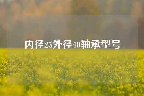 内径25外径40轴承型号